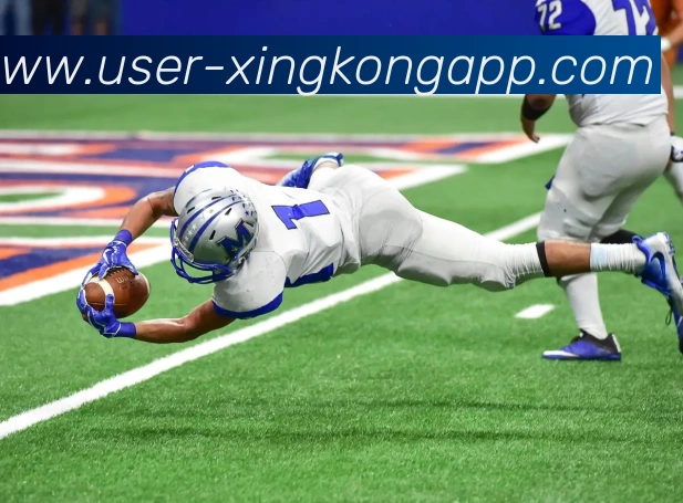星空体育APP 封面图
